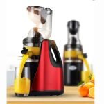 Extracteur de jus RAF